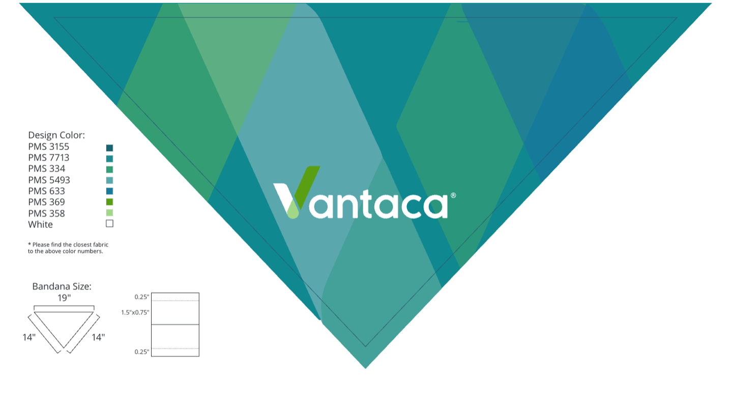 Vantaca Custom Small Dog Bandana